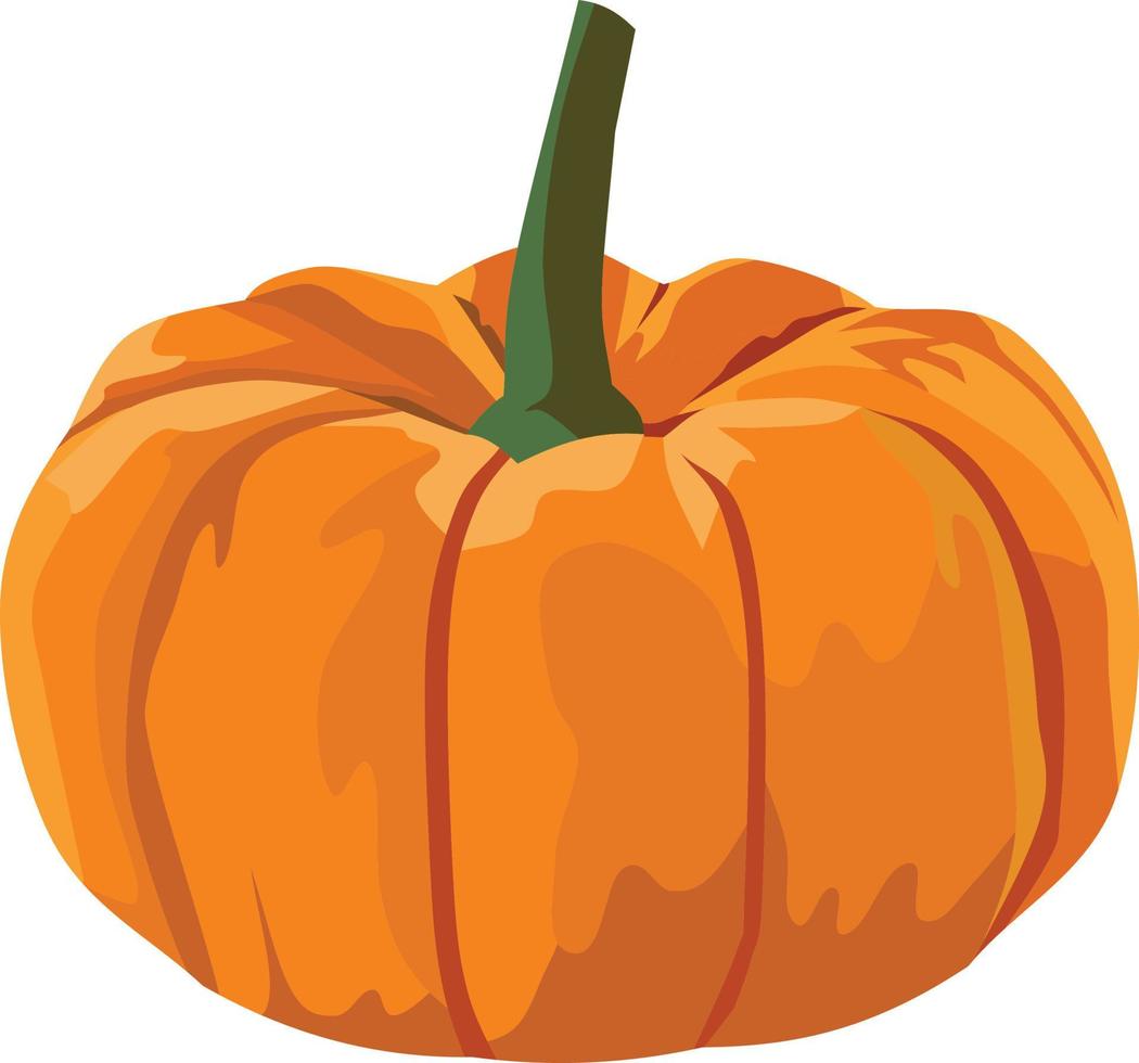 Pumpkin Fruit Vector Illustration 4413492 Vector Art at Vecteezy