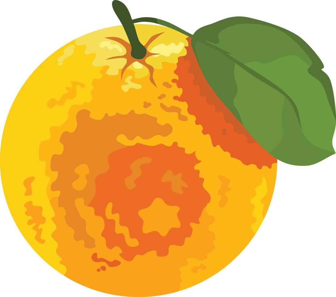 Ilustración de vector de fruta naranja