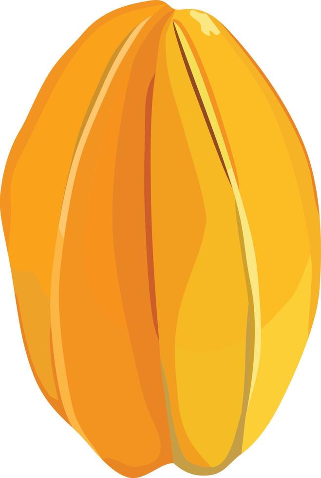 Starfruit Vector Illustration