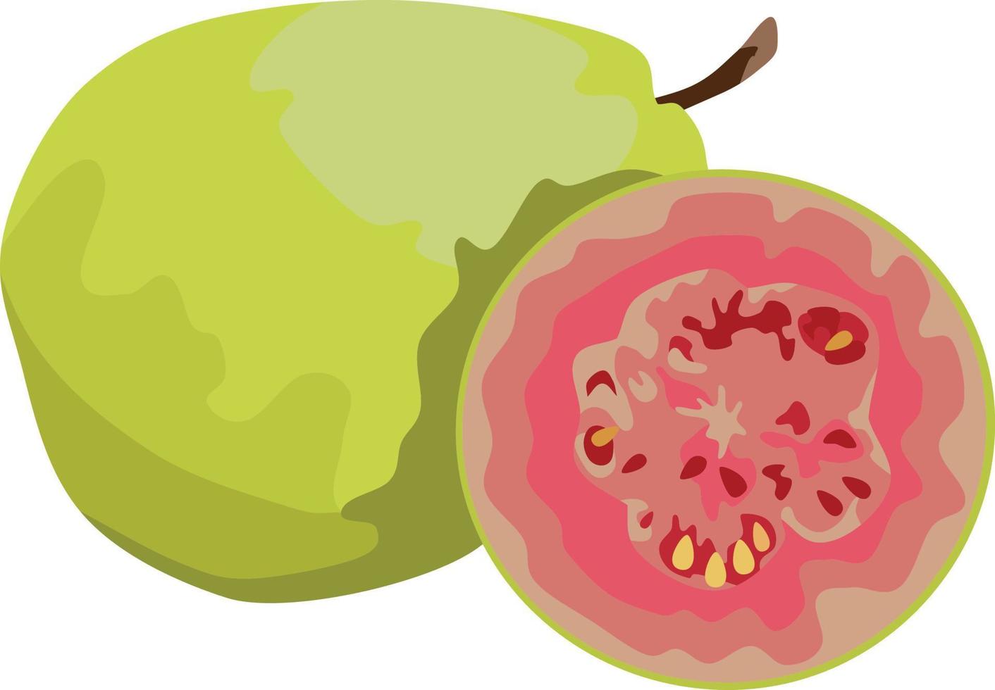 Ilustración de vector de fruta de guayaba