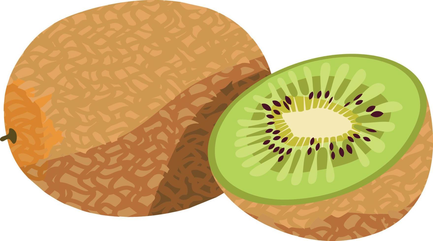 Ilustración de vector de fruta de kiwi