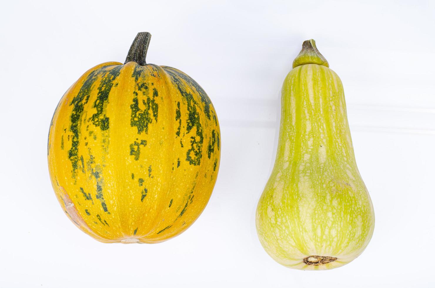 Small pumpkins of different shapes and varieties isolated on white background. Studio Photo. photo