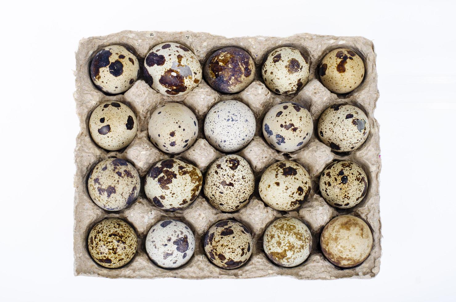 Fresh variegated quail eggs in package. Studio Photo. 4413816 Stock