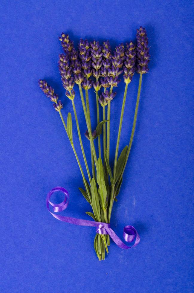 pequeño ramo de flores de lavanda azul foto