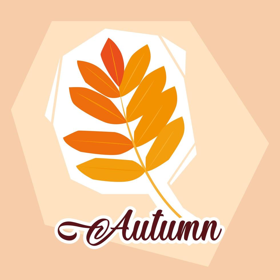hello autumn poster with branch and leafs vector