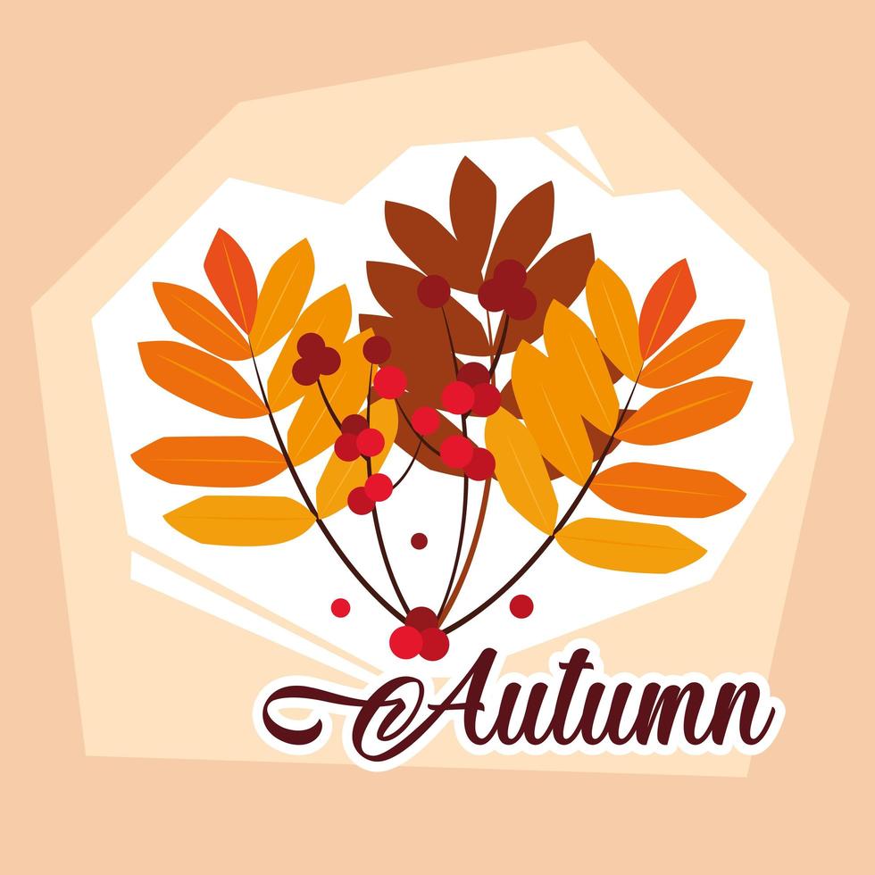 hello autumn poster with branch and leafs vector