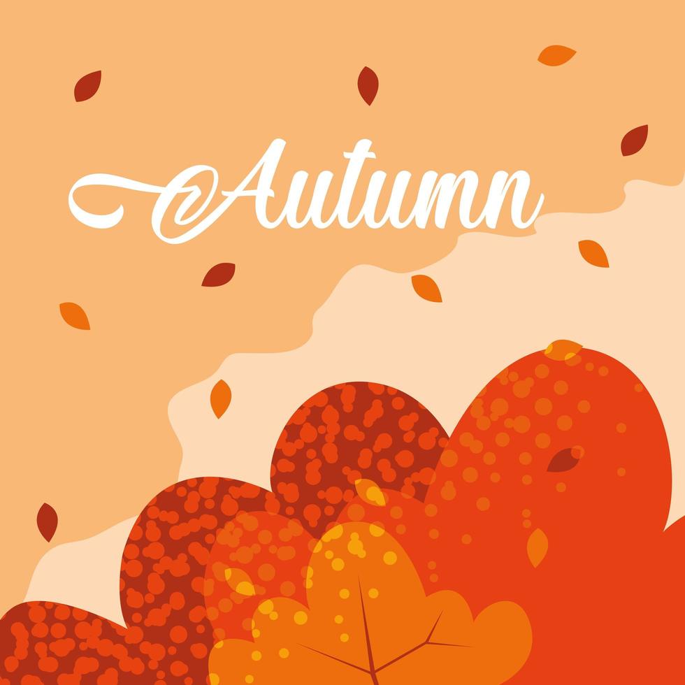 hello autumn poster with leafs pattern vector