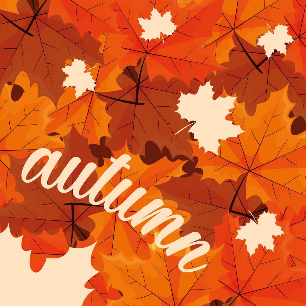 hello autumn poster with leafs pattern vector