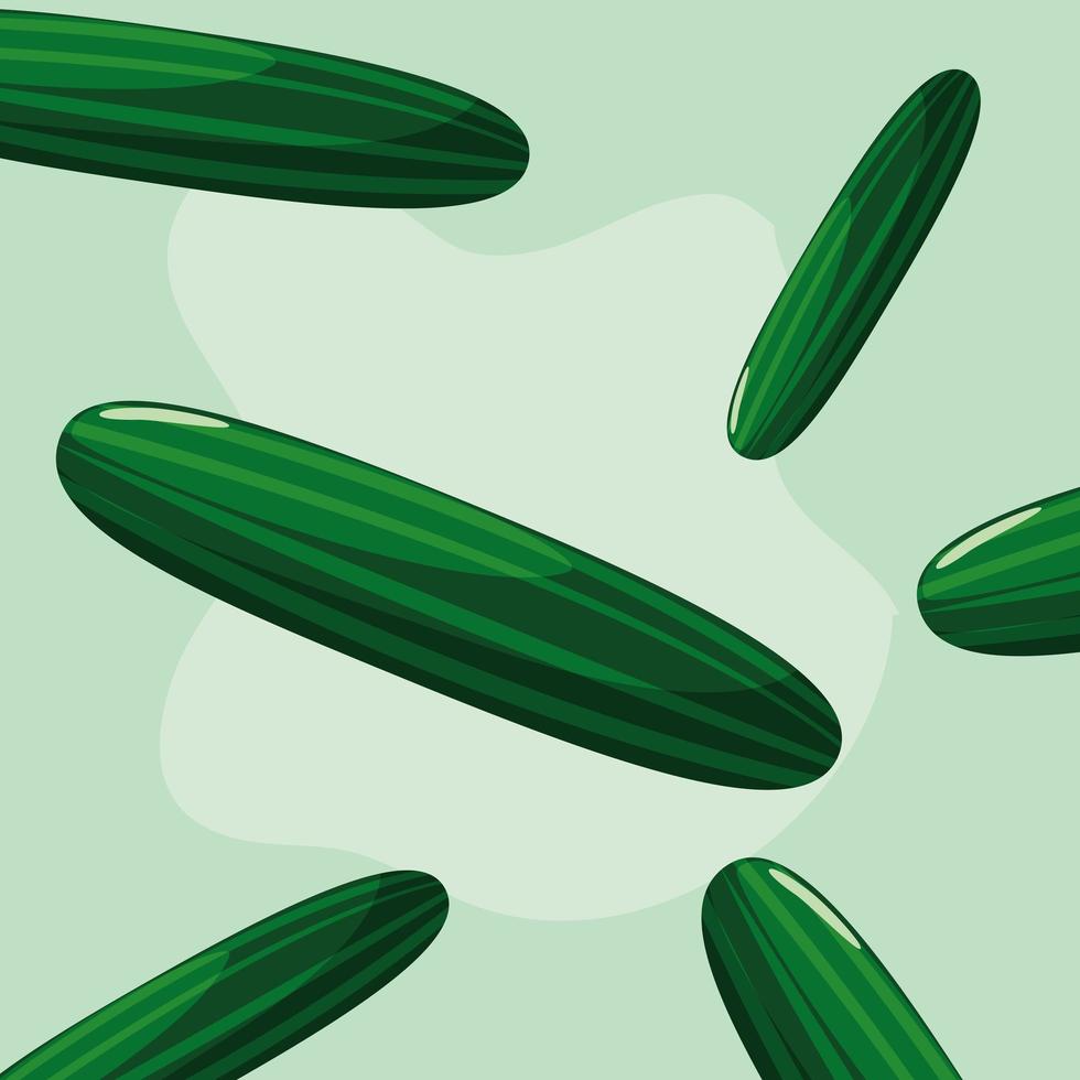 pattern of cucumber fresh vegetables vector