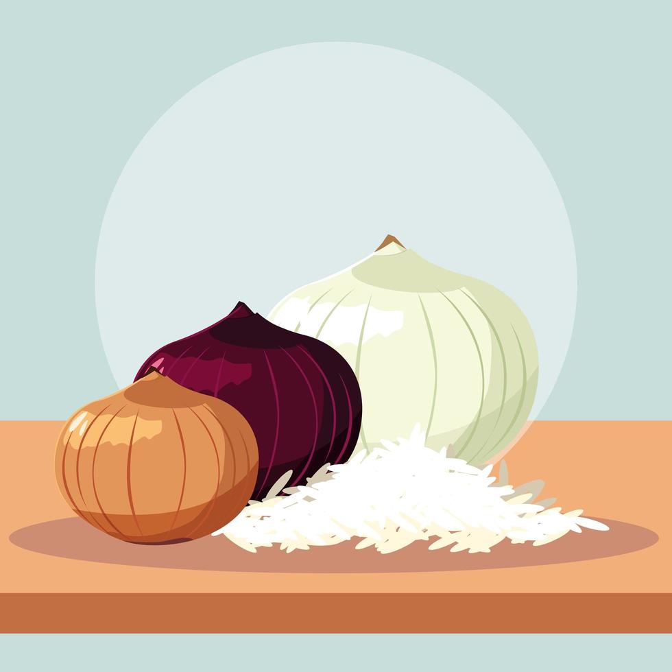 set of fresh onions vegetables vector