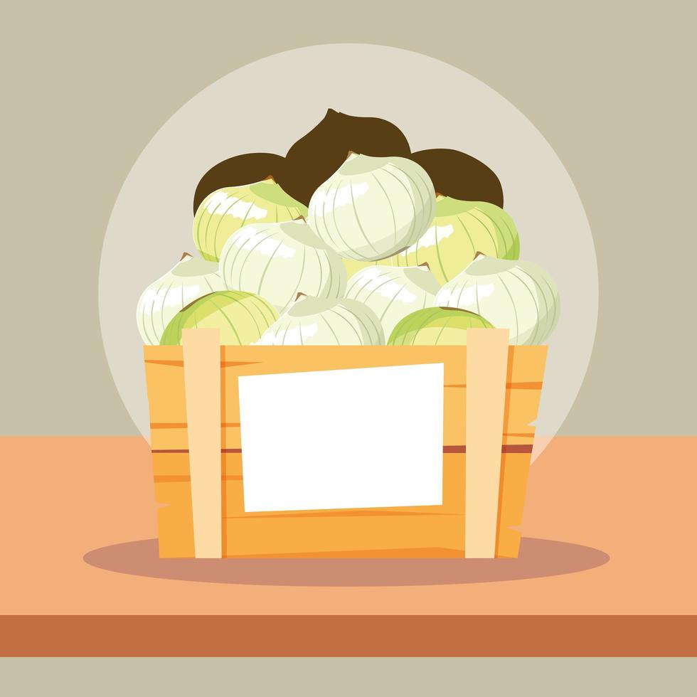 fresh onions vegetables in wooden crate vector