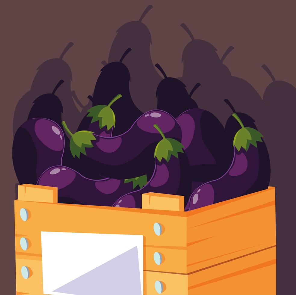 fresh eggplants vegetables in wooden crate vector