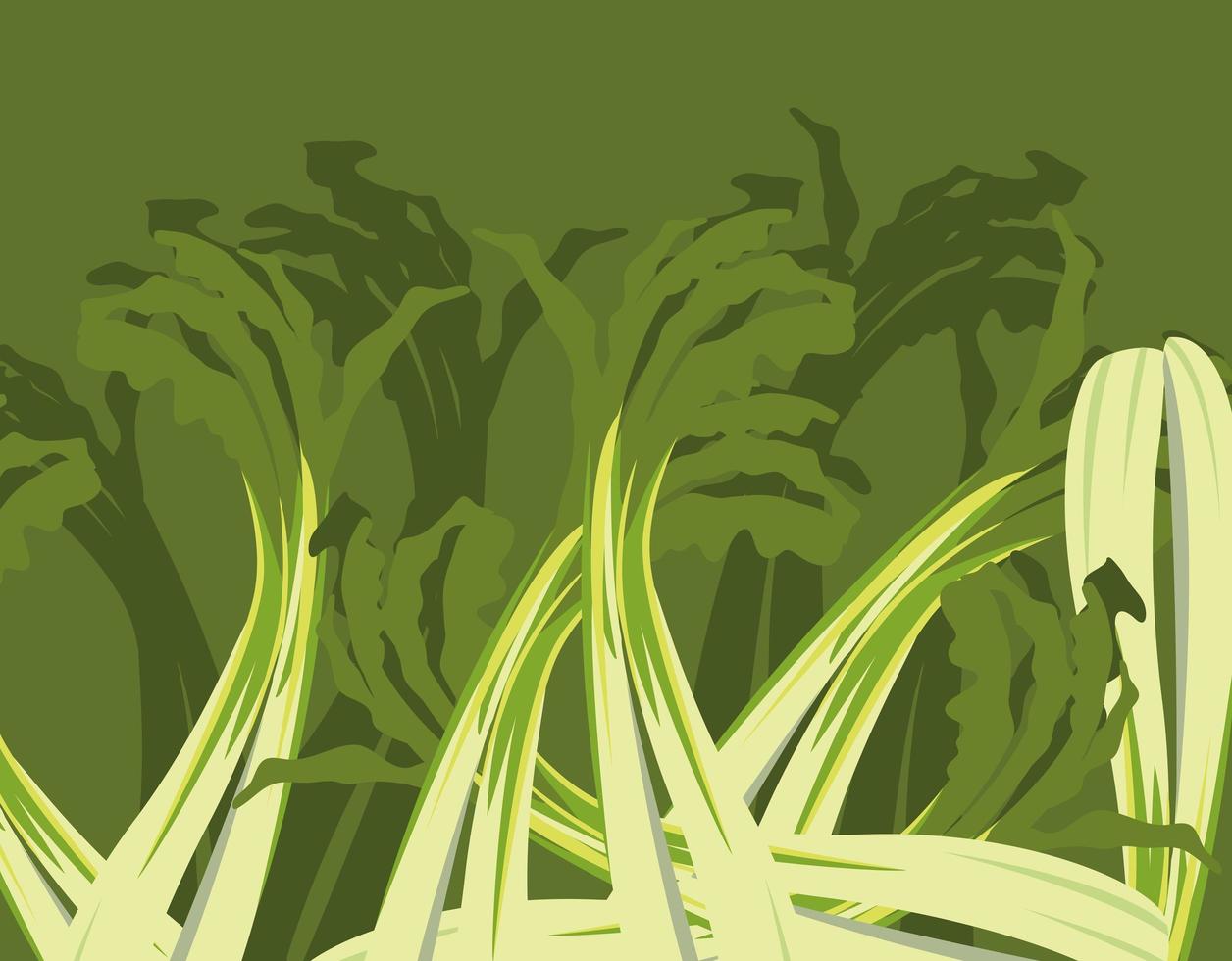 pattern of nature fresh celery vegetables vector