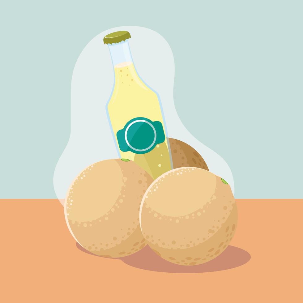 cantaloupe fresh with bottle of juice natural vector