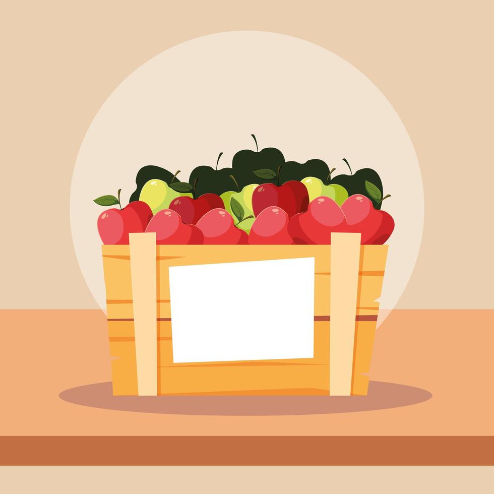 fresh apples fruits in wooden crate vector