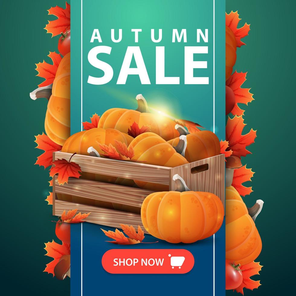 Autumn sale, web banner with ribbon, wooden crates of ripe pumpkins and autumn eaves vector