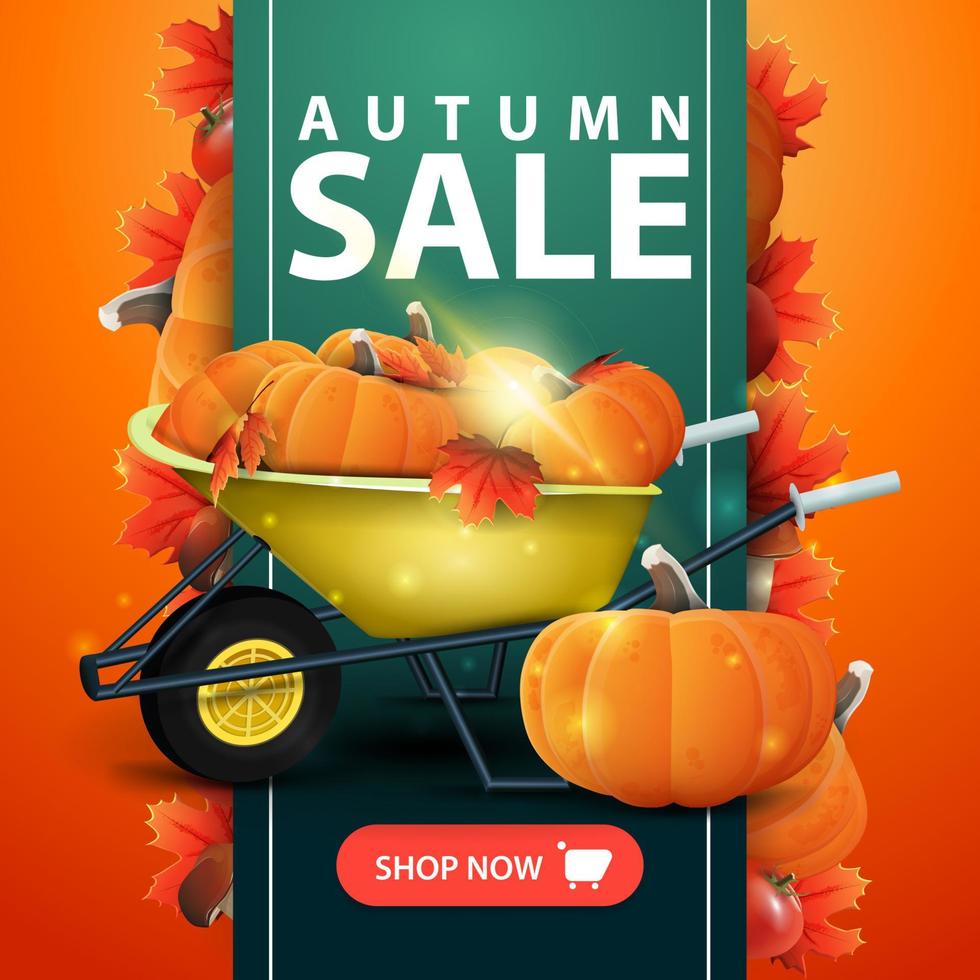 venta de otoño, banner web con cinta, carretilla de jardín con una cosecha de calabazas y hojas de otoño vector