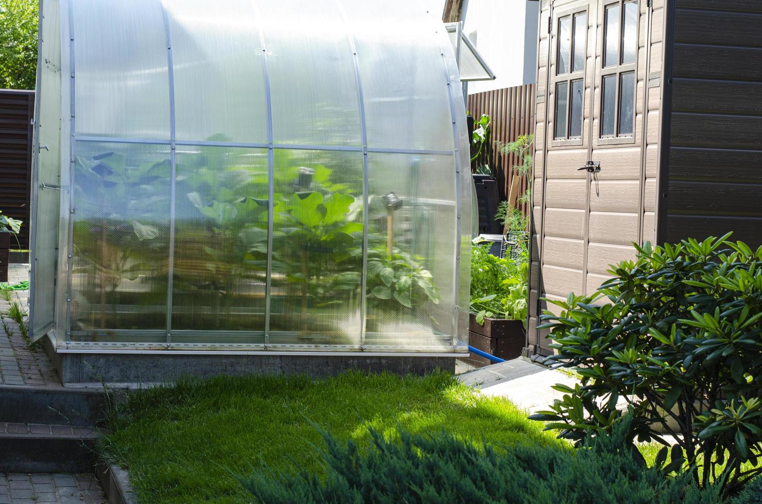 Greenhouse for growing vegetables in garden near house photo