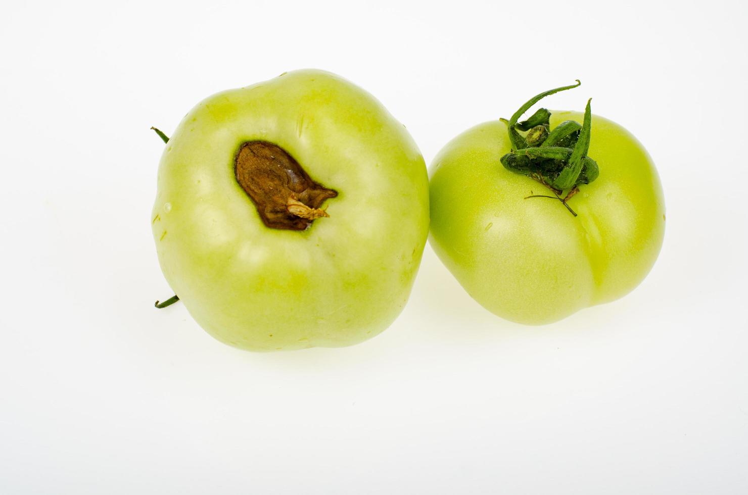 enfermedades de los tomates, pudrición superior en frutas. foto de estudio