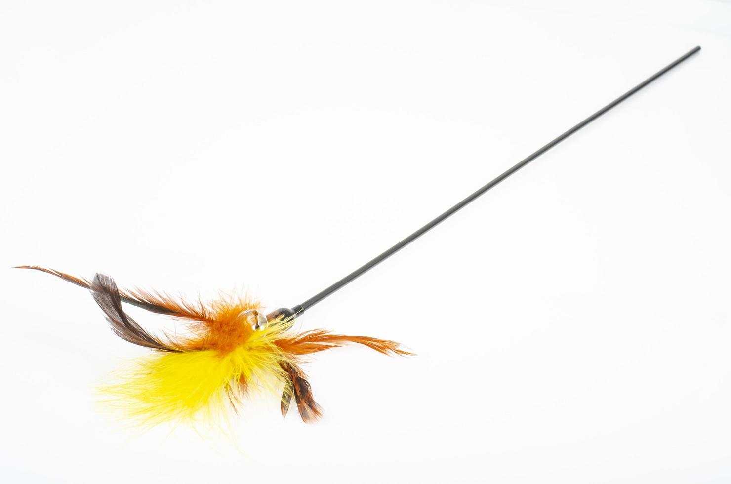 Pet toys. Stick with colored feathers for cat. Studio Photo. photo