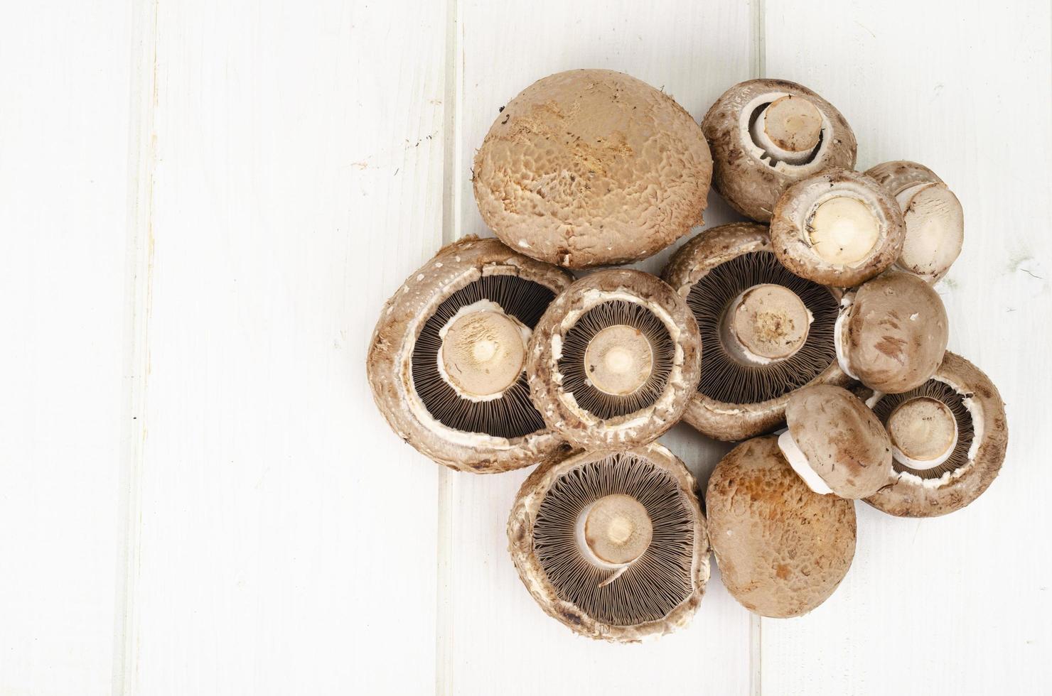 Fresh brown cultivated mushrooms champignons on wooden background. Studio Photo