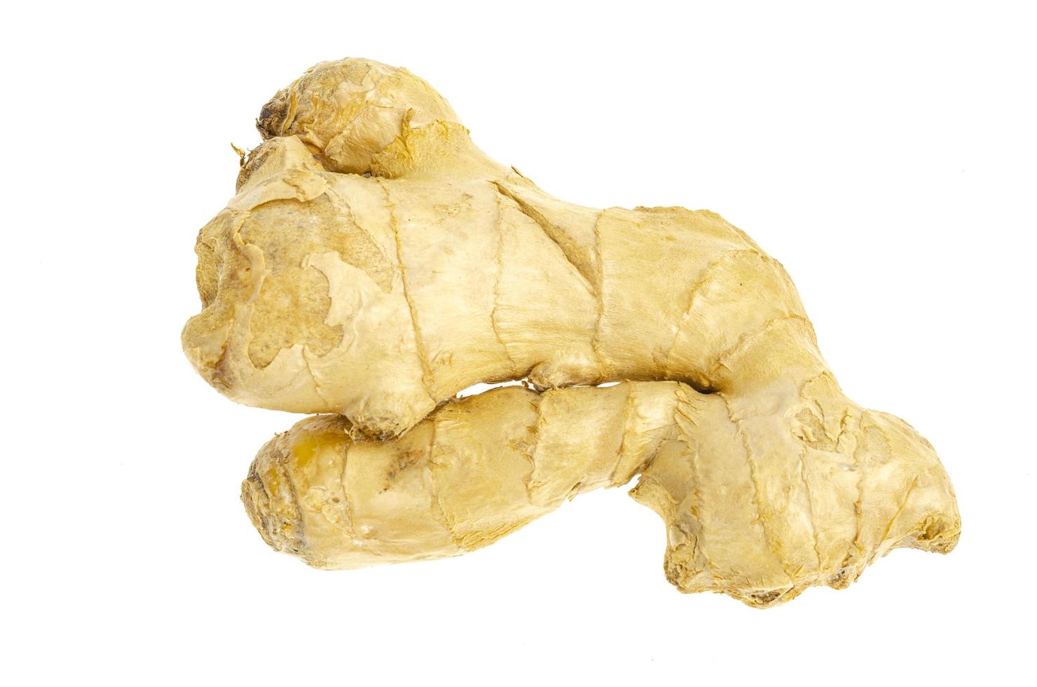 Whole unpeeled ginger root, top view. Photo