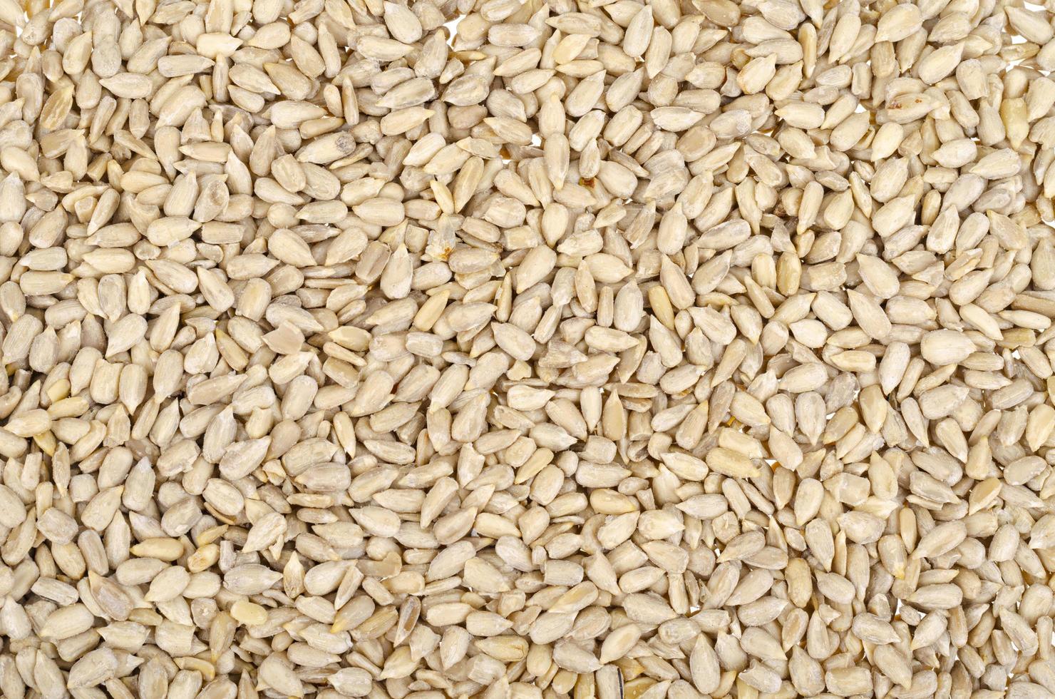 tasty Peeled sunflower seeds background. Studio Photo