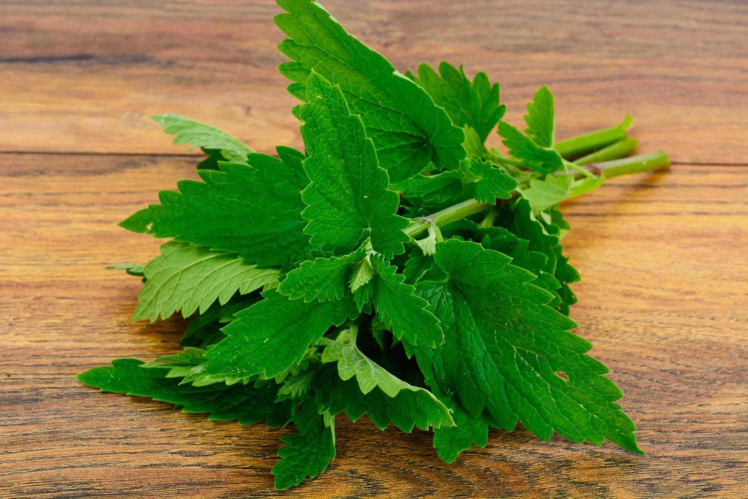 Fresh Green Mint, Lemon Balm photo