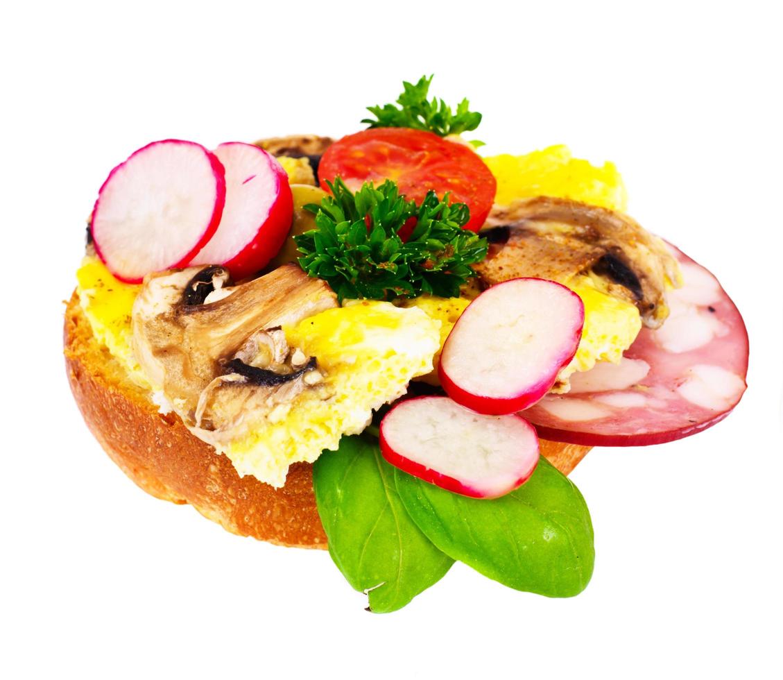 Sandwich with Mushrooms, Tomato, Cheese, Onion and Radish photo