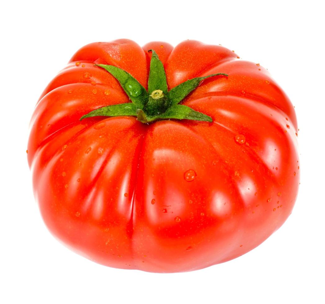 Red Tomatoes Isolated on a White Background photo