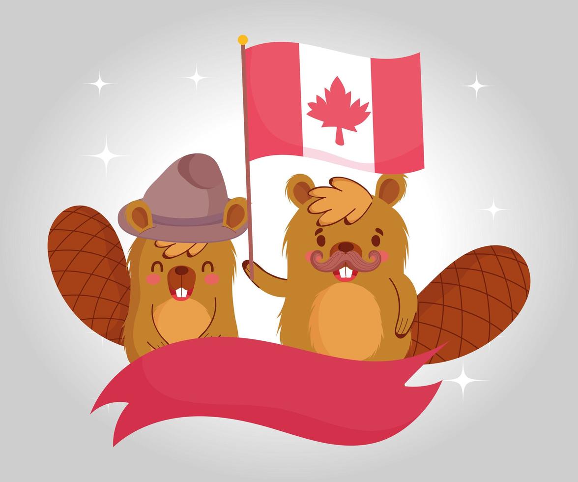 castores con bandera canadiense y diseño vectorial de cinta vector