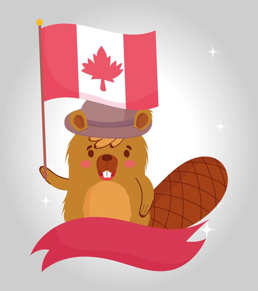 Castor con bandera canadiense y diseño vectorial de cinta vector