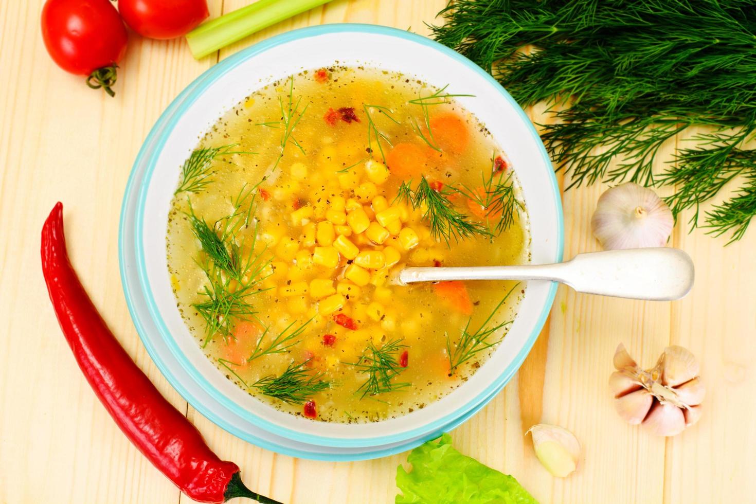 sopa con caldo de pollo. fideos y verduras foto