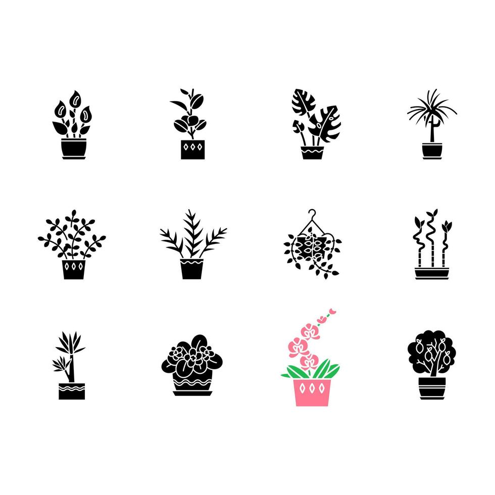 iconos de glifos negros de plantas de interior en espacio en blanco. plantas de interior. ficus, monstera, violeta africana, bambú de la suerte. lirio de la paz, potos, palmera de salón. símbolos de silueta. vector ilustración aislada