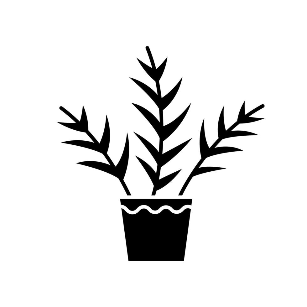 Parlor palm black glyph icon. Chamaedorea elegans. Neanthe bella palm. Majesty palm. Indoor tropical plant. Leafy decorative houseplant. Silhouette symbol on white space. Vector isolated illustration