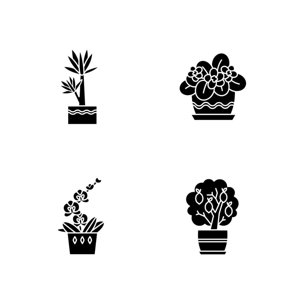 Iconos de glifos negros decorativos de plantas de interior en espacios en blanco. plantas de interior. plantas domesticadas. orquídea, yuca. árbol de cítricos en miniatura, violeta africana. símbolos de silueta. vector ilustración aislada