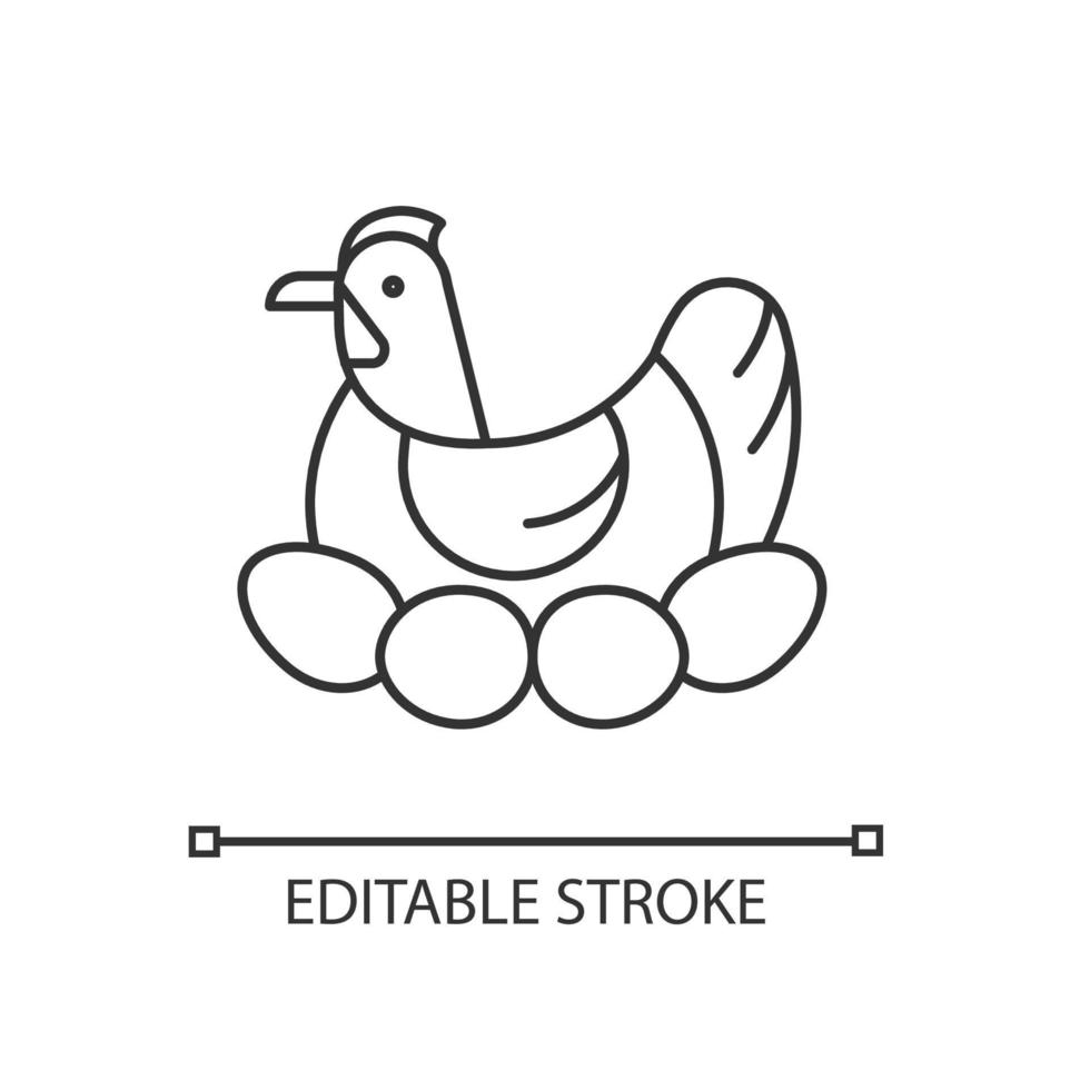 Brood hen linear icon. Bird sitting on egg clutch to incubate chicks. Nesting chicken. Thin line customizable illustration. Contour symbol. Vector isolated outline drawing. Editable stroke