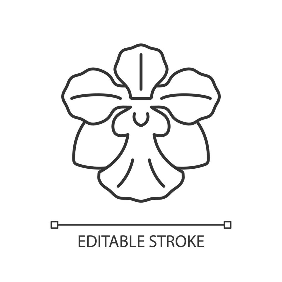 Vanda Miss Joaquim linear icon. Singaporean national flower. Plant hybrid. Singapore orchid. Thin line customizable illustration. Contour symbol. Vector isolated outline drawing. Editable stroke