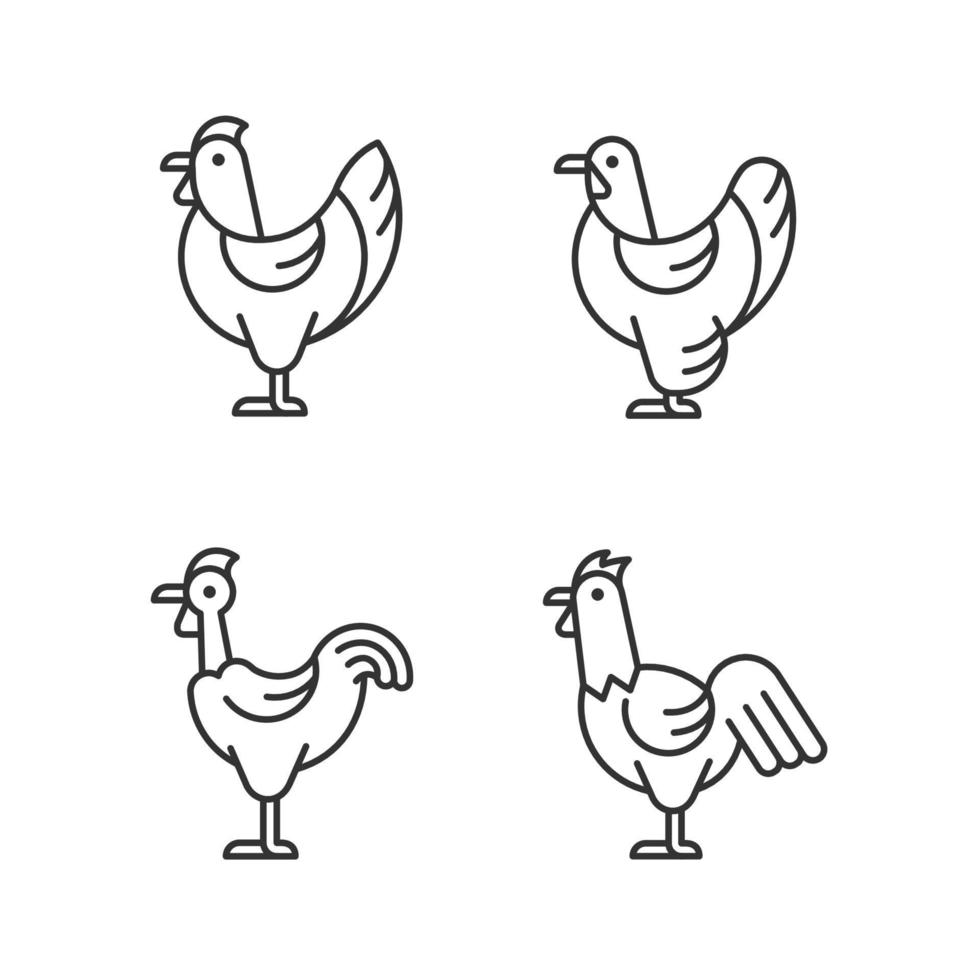 Chicken breeds linear icons set. Brahma hen. Transylvanian chicken. Hen and rooster. Poultry farming. Customizable thin line contour symbols. Isolated vector outline illustrations. Editable stroke