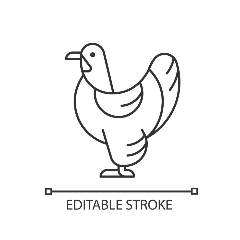 Brahma hen linear icon. American chicken breed. Poultry farming industry. Feathered shanks, toes. Thin line customizable illustration. Contour symbol. Vector isolated outline drawing. Editable stroke