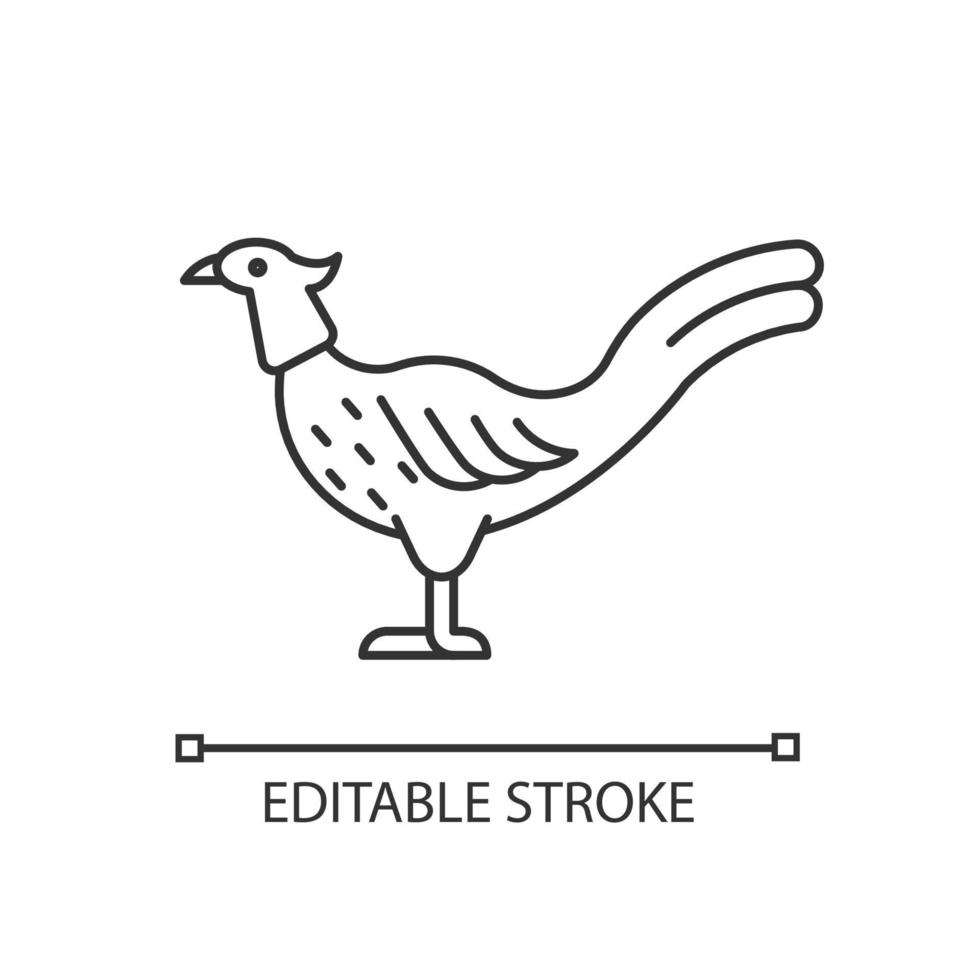 Male pheasant linear icon. Ringneck cock. Domestic bird raising. Long feathered tail. Thin line customizable illustration. Contour symbol. Vector isolated outline drawing. Editable stroke