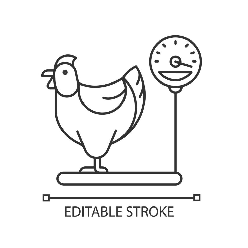 Jersey giant hen linear icon. Biggest american chicken breed. Commercial chicken farming. Thin line customizable illustration. Contour symbol. Vector isolated outline drawing. Editable stroke