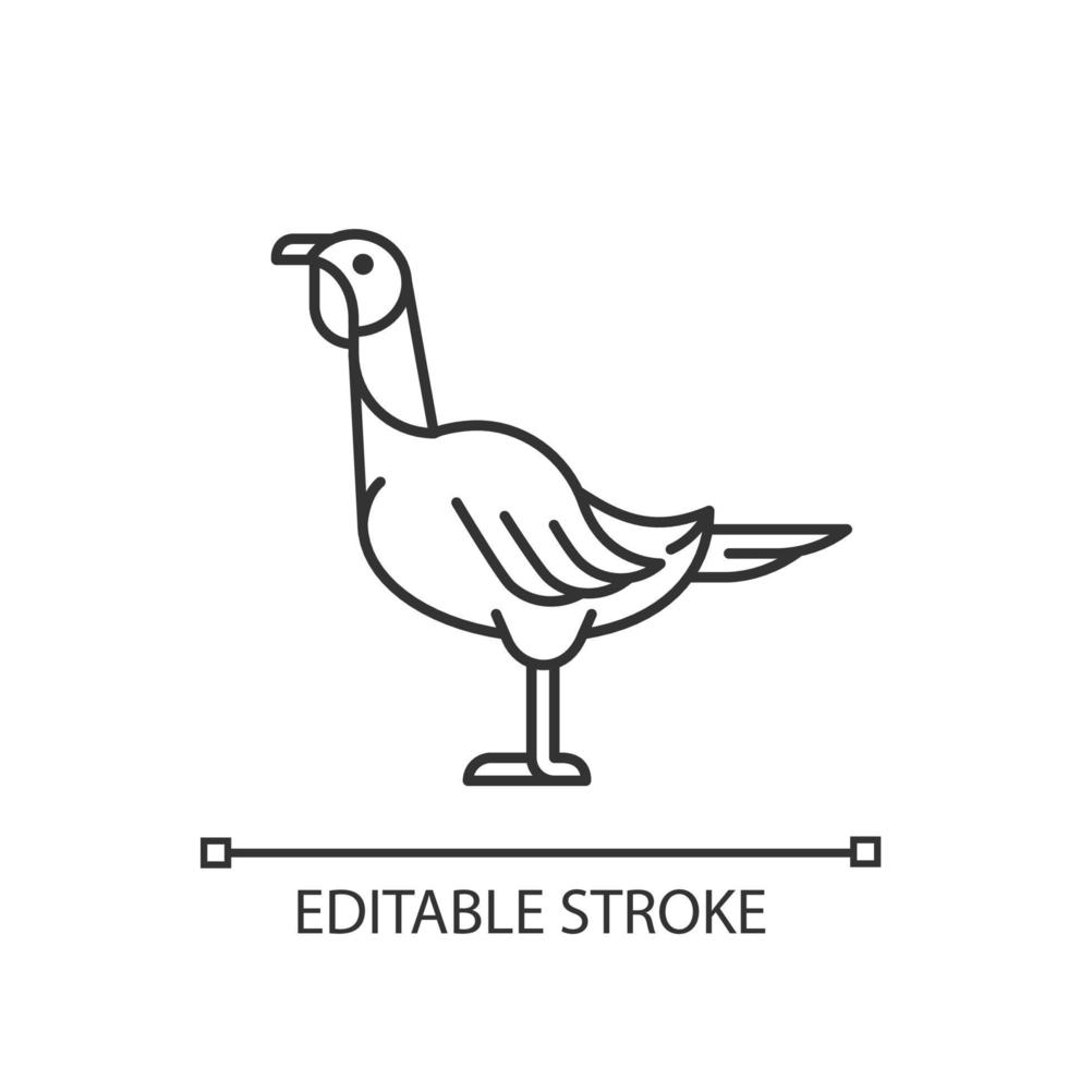 Female turkey linear icon. Poultry farming for food. Thanksgiving dinner with turkey. Landfowl. Thin line customizable illustration. Contour symbol. Vector isolated outline drawing. Editable stroke
