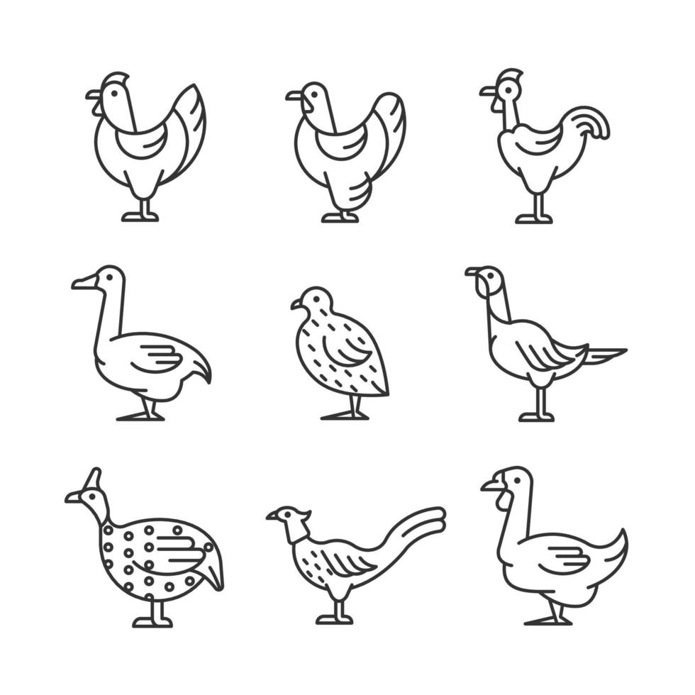 Domesticated birds linear icons set. Chicken and geese growth. Bird raising. Commercial poultry farming. Customizable thin line contour symbols. Isolated vector outline illustrations. Editable stroke