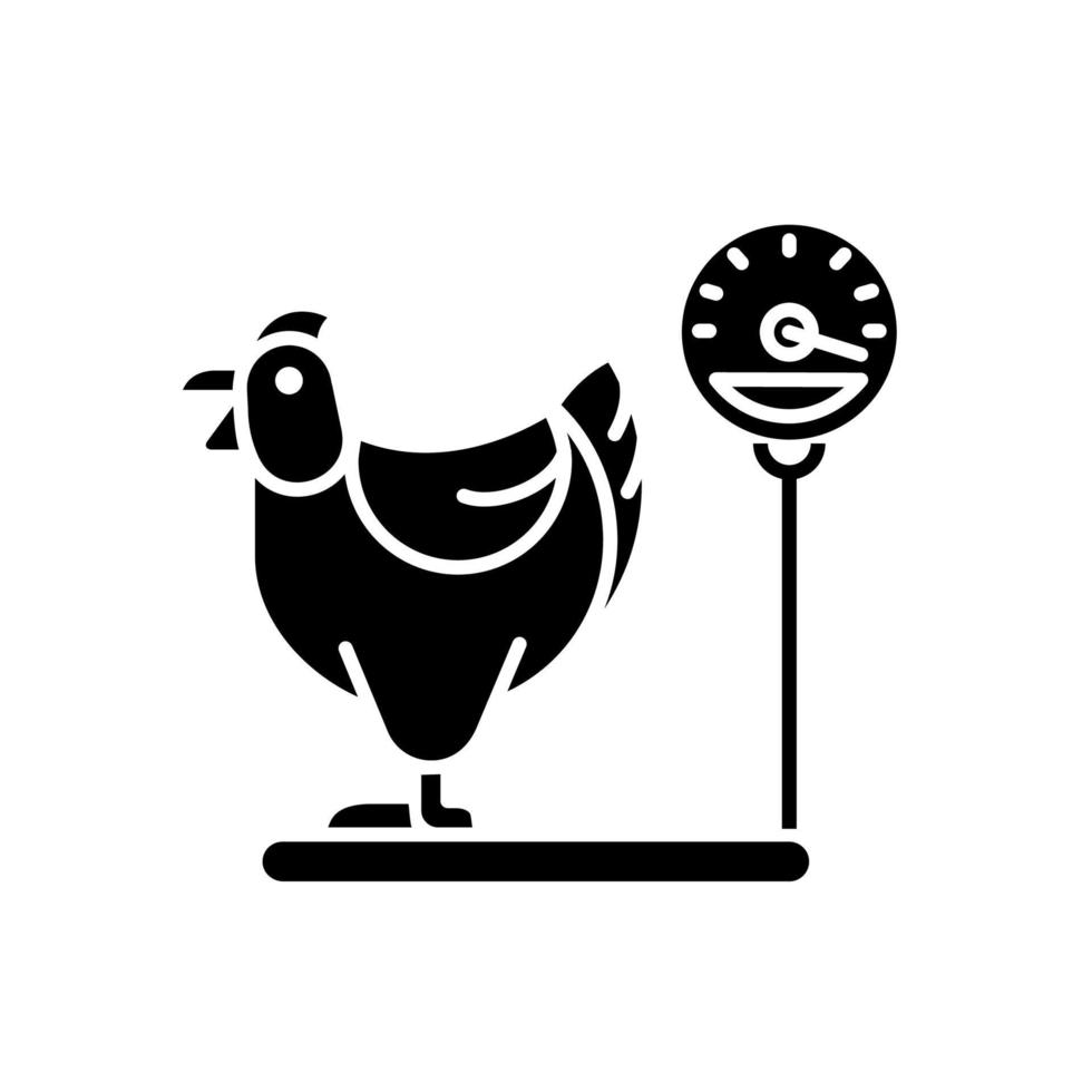 Jersey de gallina gigante icono de glifo negro. la raza de pollo más grande de Estados Unidos. cría comercial de pollos para carne y huevos. crianza de aves de corral. símbolo de silueta en el espacio en blanco. vector ilustración aislada