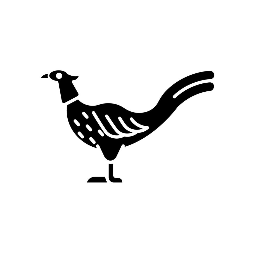 Male pheasant black glyph icon. Commercial poultry farming for food. Ringneck cock. Domestic bird raising. Long feathered tail. Silhouette symbol on white space. Vector isolated illustration