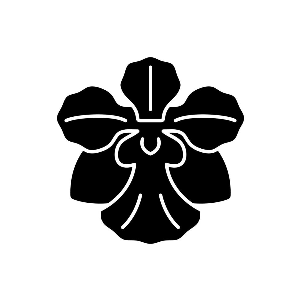 Vanda Miss Joaquim black glyph icon. Singaporean national flower. Plant hybrid. Singapore orchid. Fan-shaped flower cluster. Silhouette symbol on white space. Vector isolated illustration