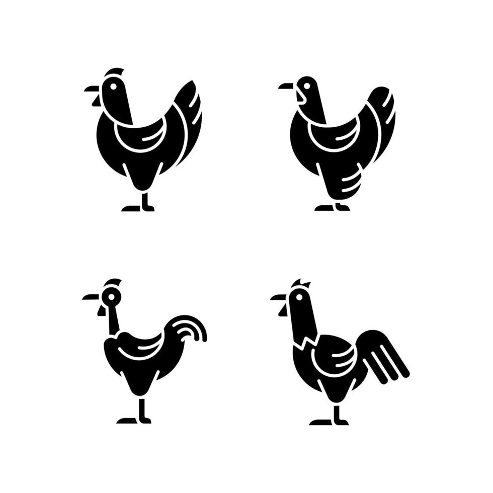 Chicken breeds black glyph icons set on white space. Brahma hen. Transylvanian chicken. Hen and rooster. Poultry farming. Livestock husbandry. Silhouette symbols. Vector isolated illustration