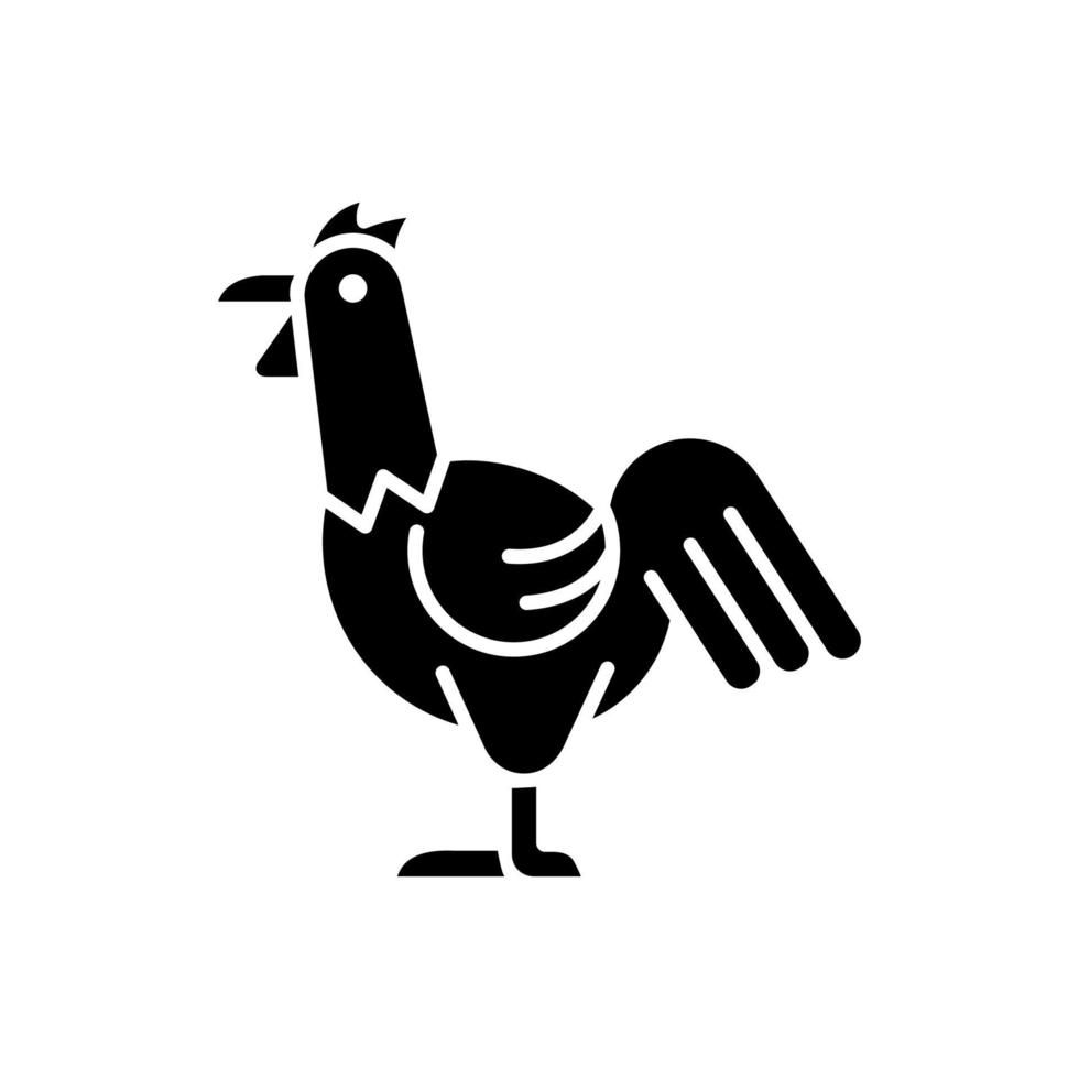 gallo icono de glifo negro. cría de gallos. crianza comercial de pollos. creciente industria ganadera. aves terrestres domésticas. gallo joven. símbolo de silueta en el espacio en blanco. vector ilustración aislada