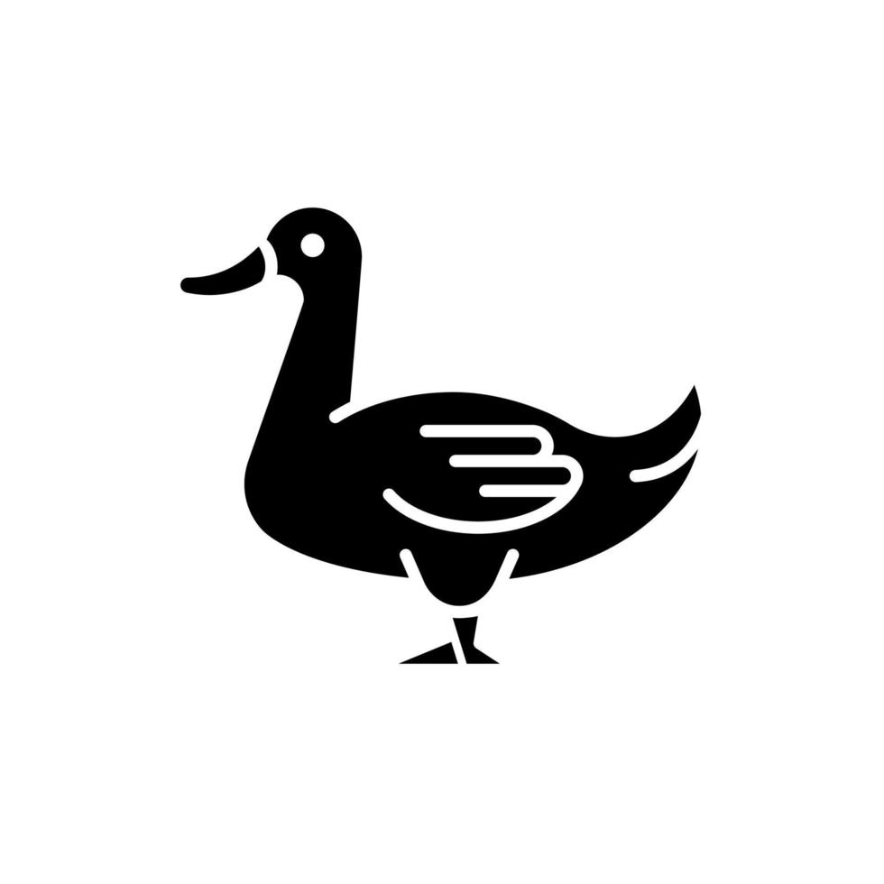 Domestic duck black glyph icon. Poultry farming industry. Domestic bird raising for meat, eggs and down. Commercial duck growing. Silhouette symbol on white space. Vector isolated illustration